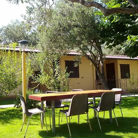Camping Ali Baba Campsite *